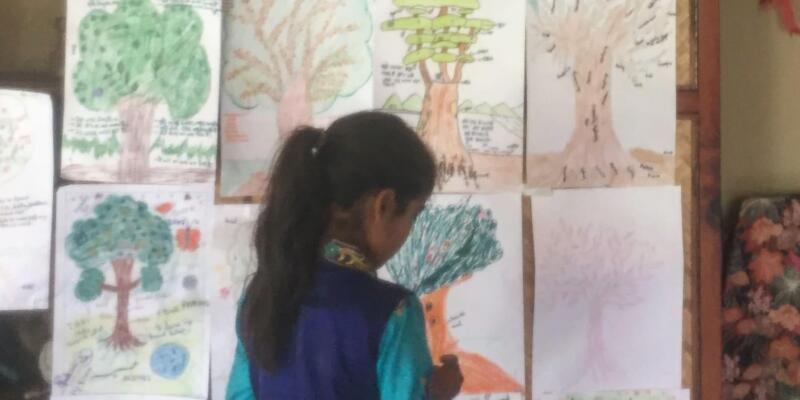 The Tree that Jaya Grew: Using Tree of Life in the Rural Indian Himalayas