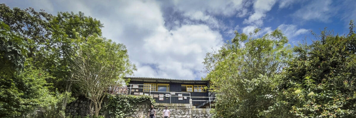 Huertomanías